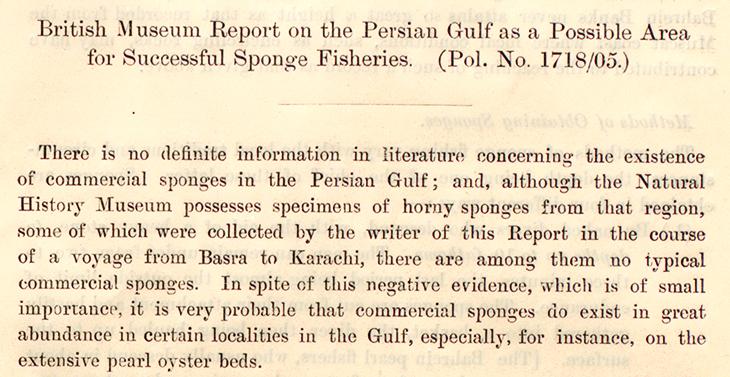 مستهل تقرير كيركباتريك، يخمن فيه باحتمالية وجود &quot;وفرة هائلة&quot; من الإسفنج في الخليج، نوفمبر ١٩٠٥. IOR/L/PS/18/B152، ص. ١و